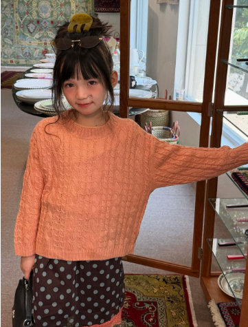 Girls Sweater 2026 Autumn and  - Baby Clothing Jumper recension och pris